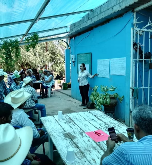 Desarrollo de Capacidades