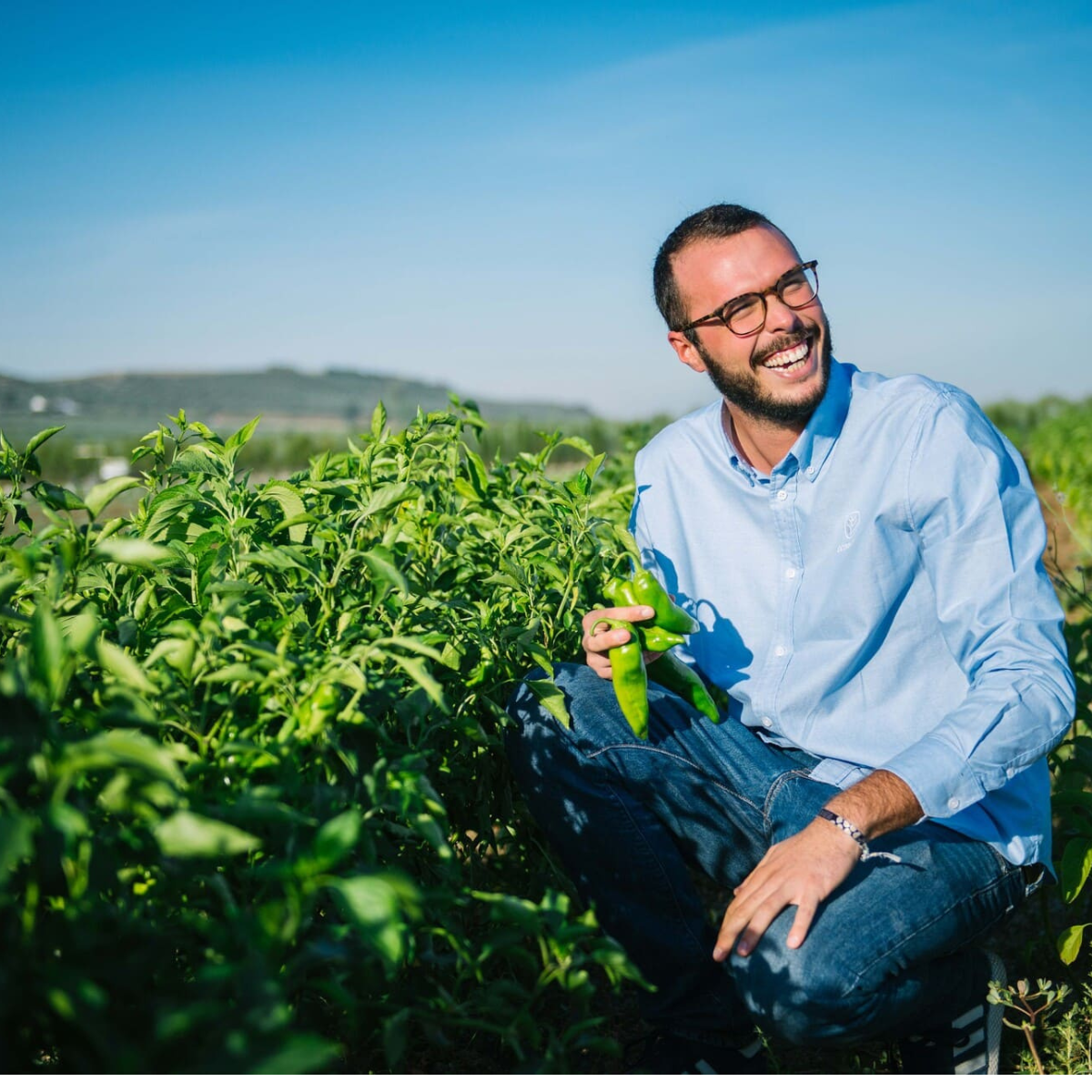 Consultoría-Especializada